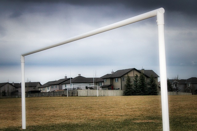 我们不难预 我们不难预