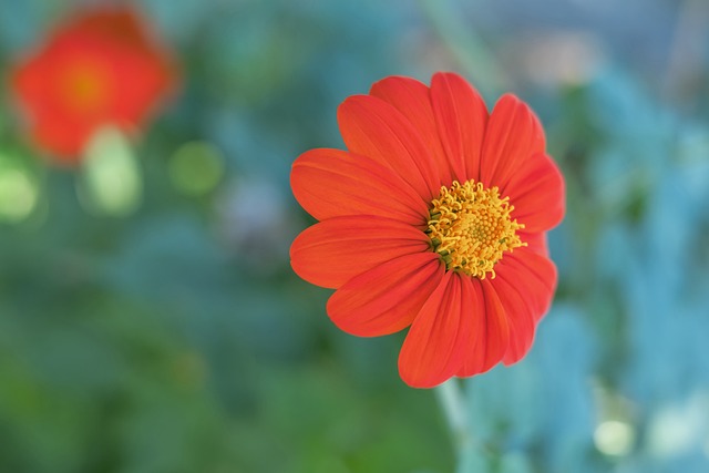 来完善长远 来完善长远